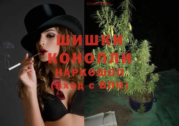 стаф Краснослободск