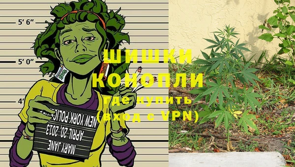 стаф Краснослободск