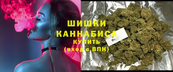 стаф Краснослободск