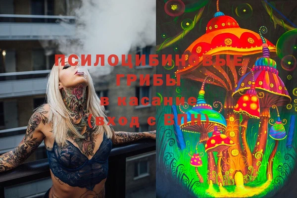 стаф Краснослободск