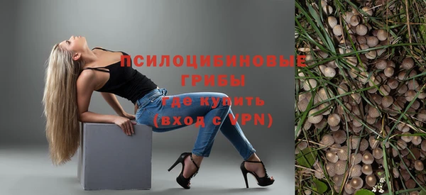 МДПВ Краснотурьинск