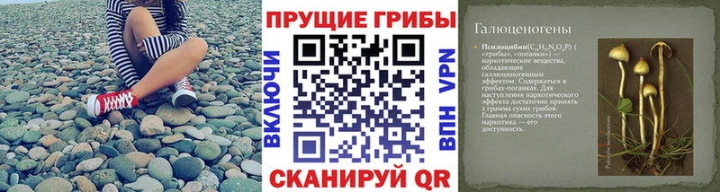 Купить где  Бежецк  Псилоцибиновые грибы Magic Shrooms 